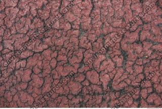 photo texture of asphalt cracked 0002